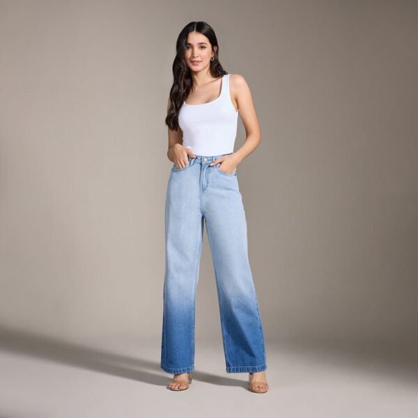 Blue Ombre High Waist Denims (34)